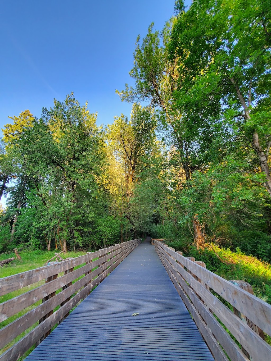 Tualatin Hills Nature Park | 15655 SW Millikan Way, Beaverton, OR 97006, USA | Phone: (503) 645-6433