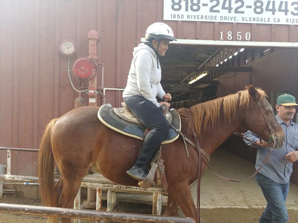 LA Horse Rentals | 1850 W Riverside Dr, Glendale, CA 91201, USA | Phone: (818) 242-8443