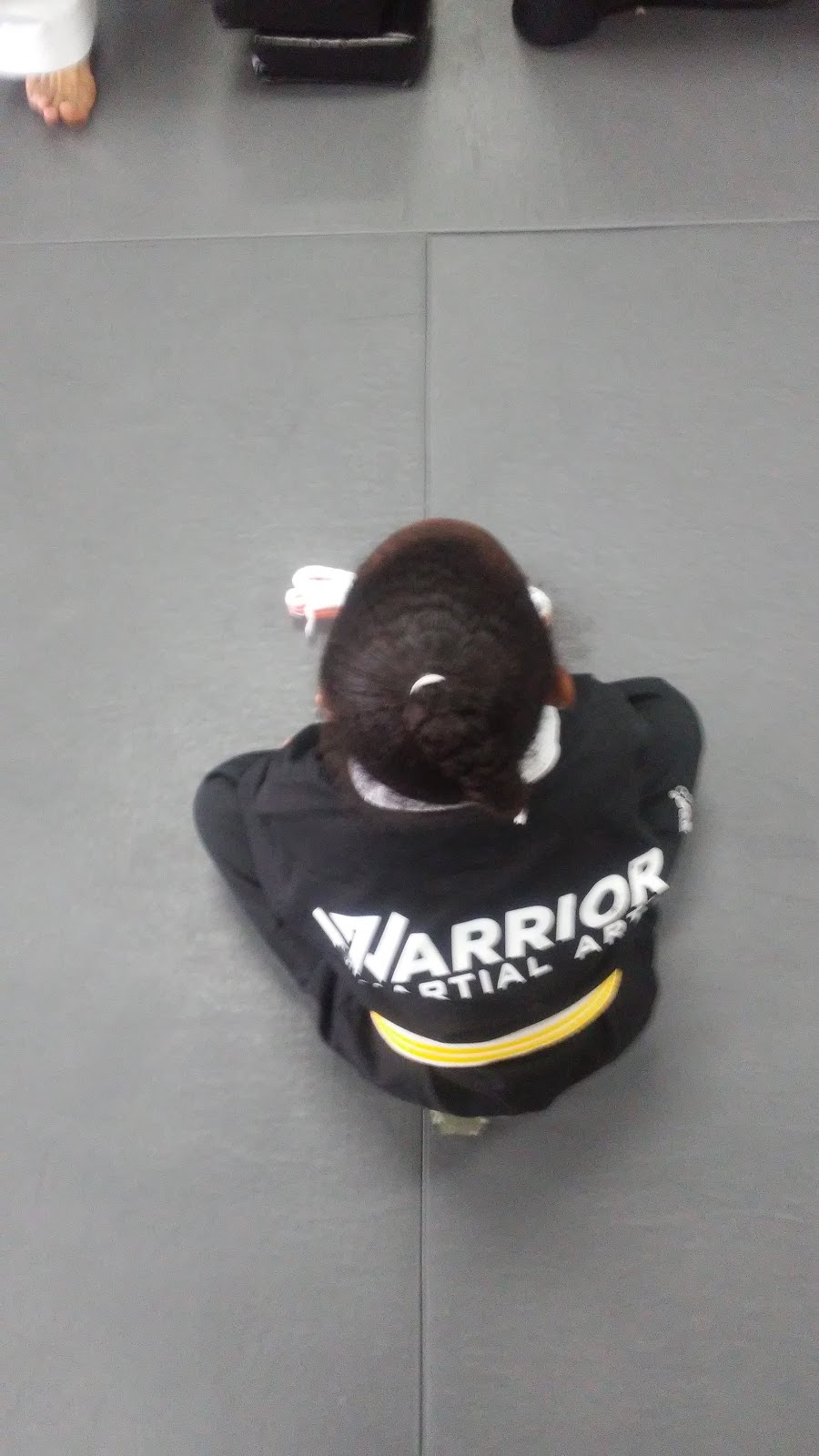 Warrior Martial Arts | 177 North Ave, Dunellen, NJ 08812, USA | Phone: (848) 280-7650