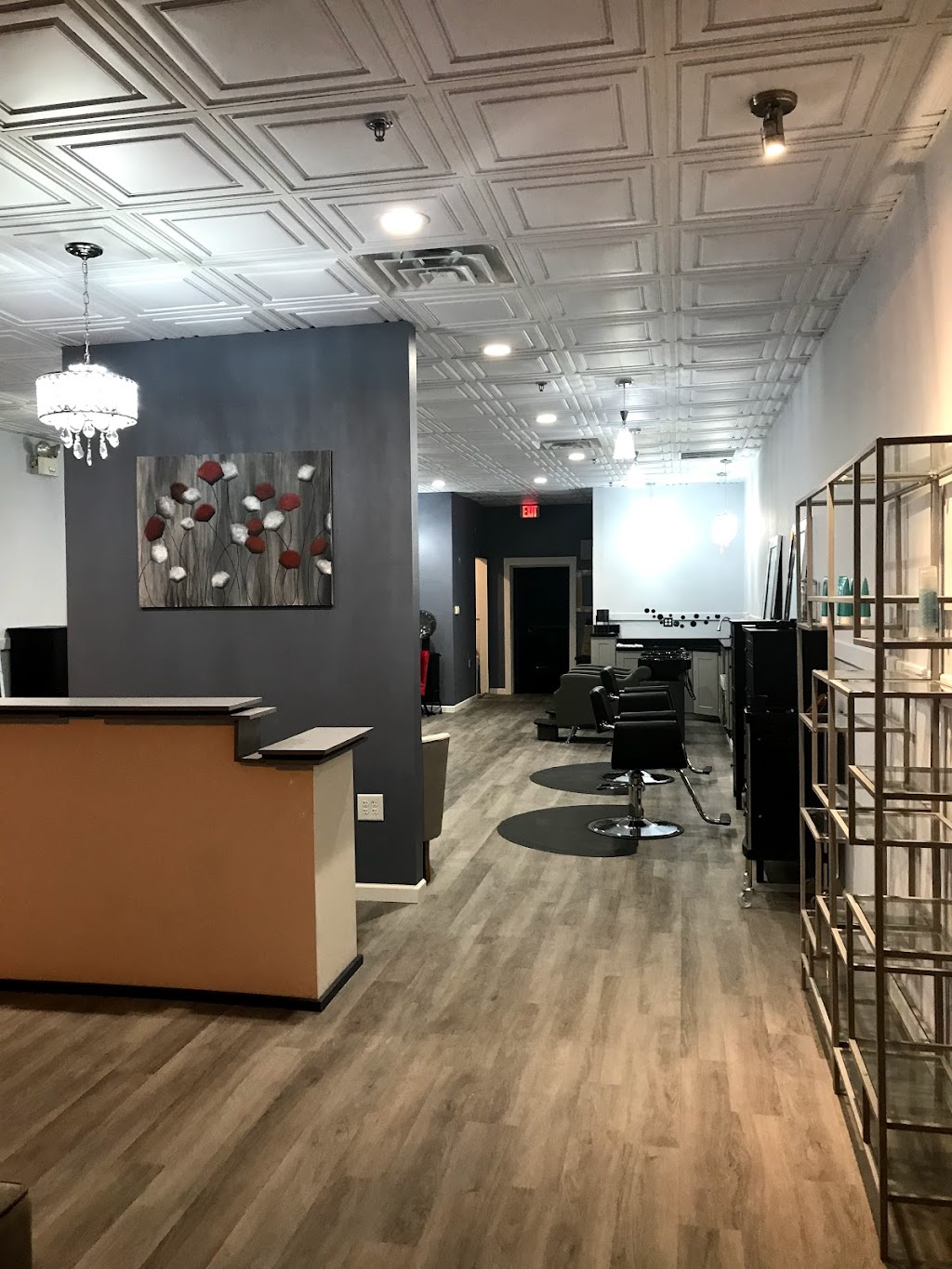 Salon Vibe | 170 Concord Rd, Chelmsford, MA 01824, USA | Phone: (978) 656-8743