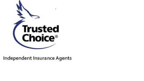 Malone Insurance Agency | 624 Central Ave, Osseo, MN 55369, USA | Phone: (612) 242-5142