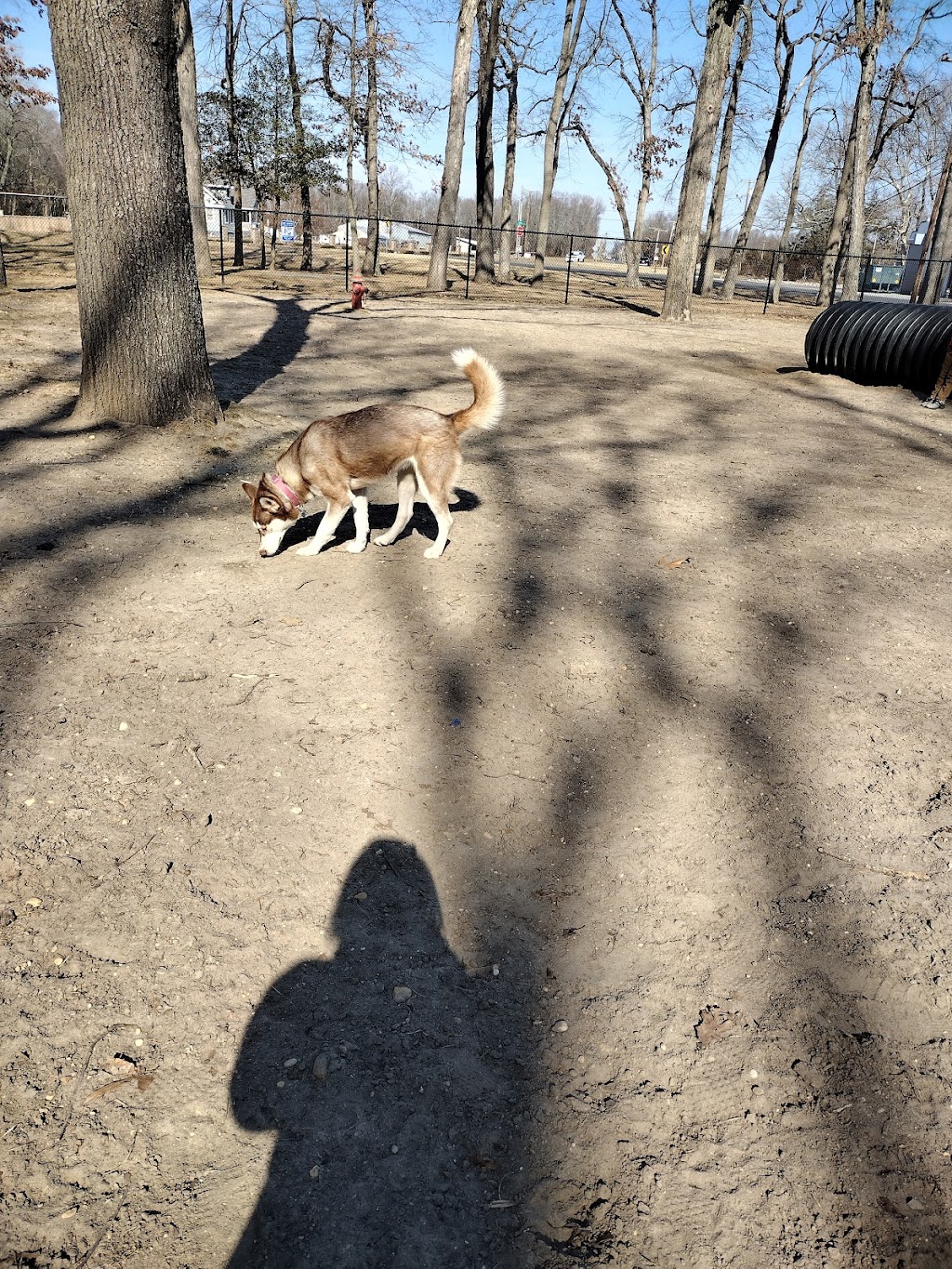 City of Vineland Dog Park | Vineland, NJ 08361, USA | Phone: (856) 794-4084