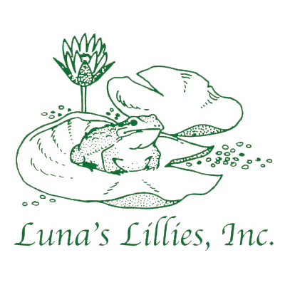 Lunas Lillies, Inc. | 6974 Cedar Dr, Riverdale, GA 30296, USA | Phone: (770) 991-3112