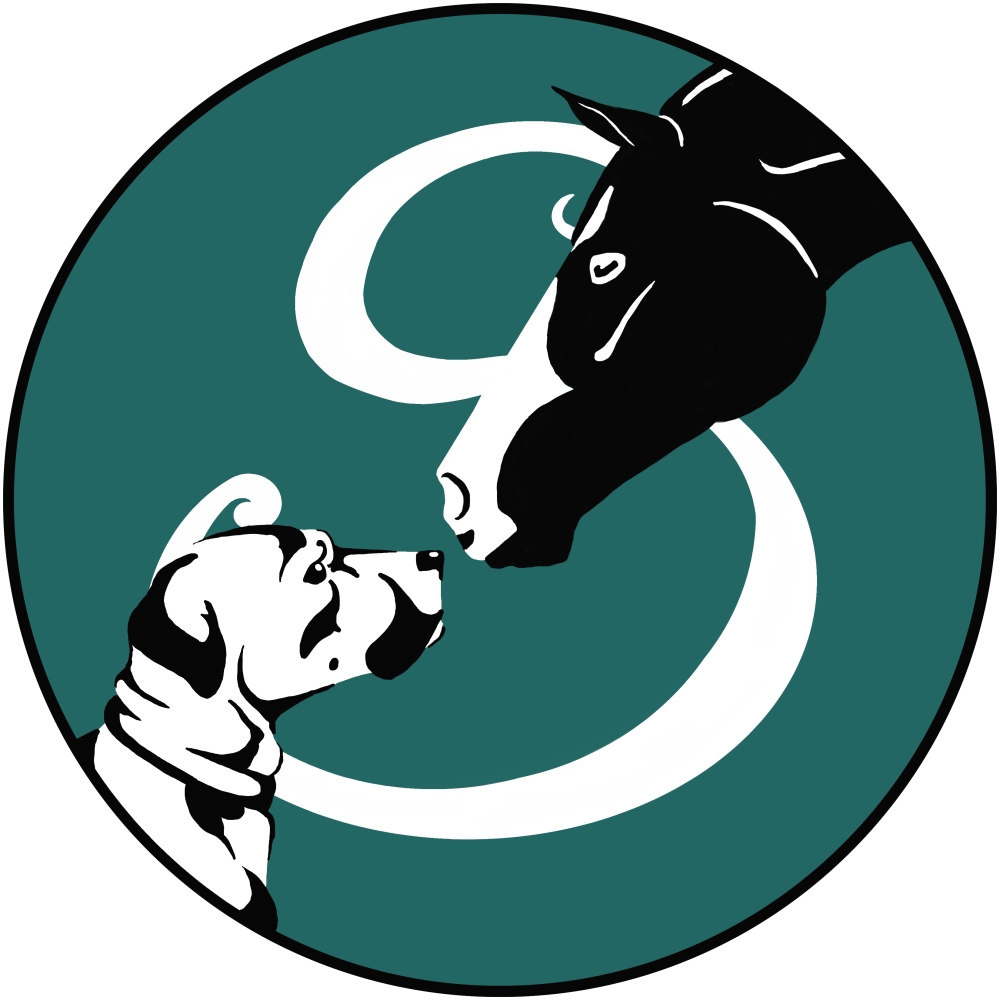 Skye Therapy Solutions | S Lindsay Rd &, E Elliot Rd, Gilbert, AZ 85234, USA | Phone: (480) 297-8232 Skye Therapy Solutions | S Lindsay Rd &, E Elliot Rd, Gilbert, AZ 85234, USA | Phone: (480) 297-8232