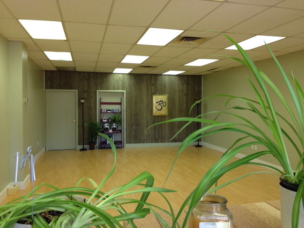 Orchid Tree Yoga | 461 NY-146, Guilderland Center, NY 12085, USA | Phone: (518) 729-6308
