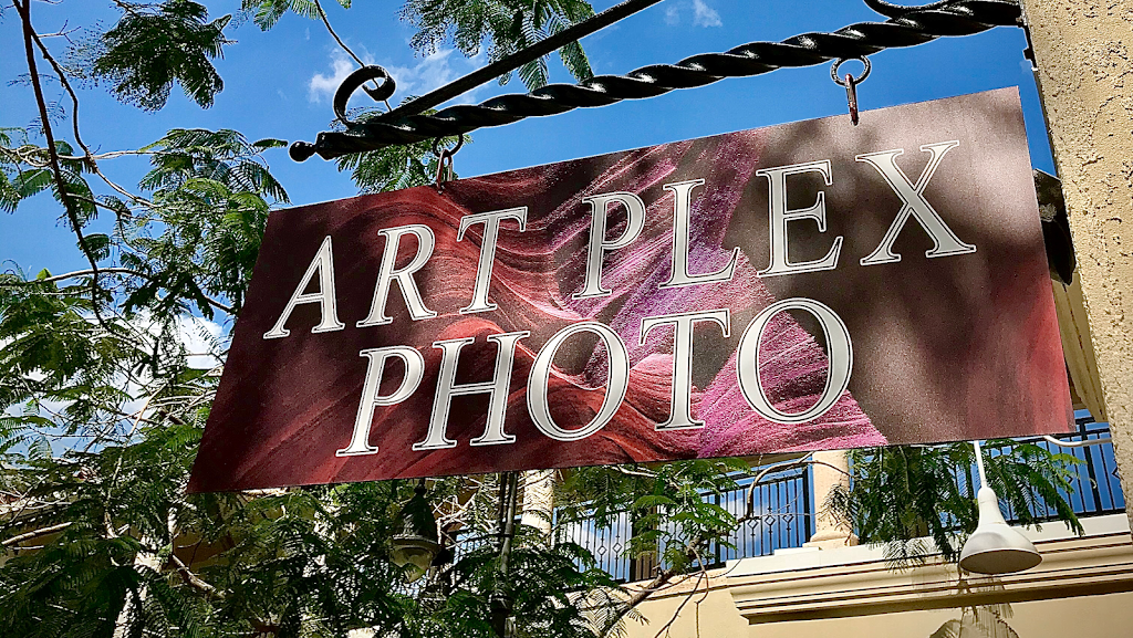 Art Plex Photo | 601 Silks Run #1440, Hallandale Beach, FL 33009, USA | Phone: (305) 215-7778