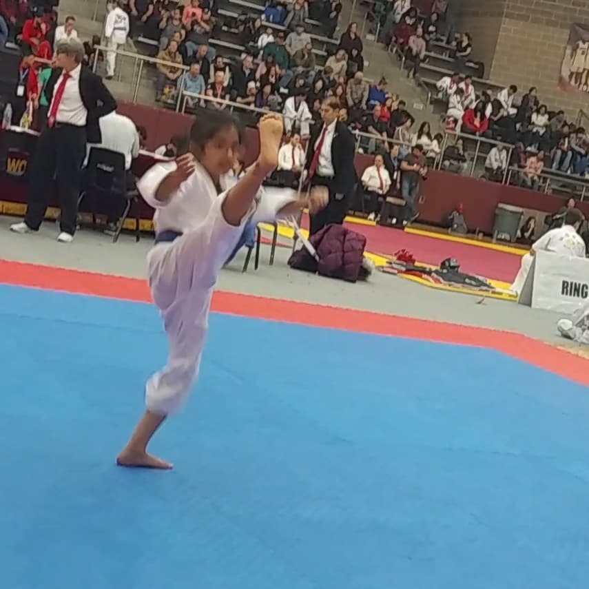 Dynamic Taekwondo | 3150 Premier Dr Ste 121, Irving, TX 75063, USA | Phone: (972) 457-0341