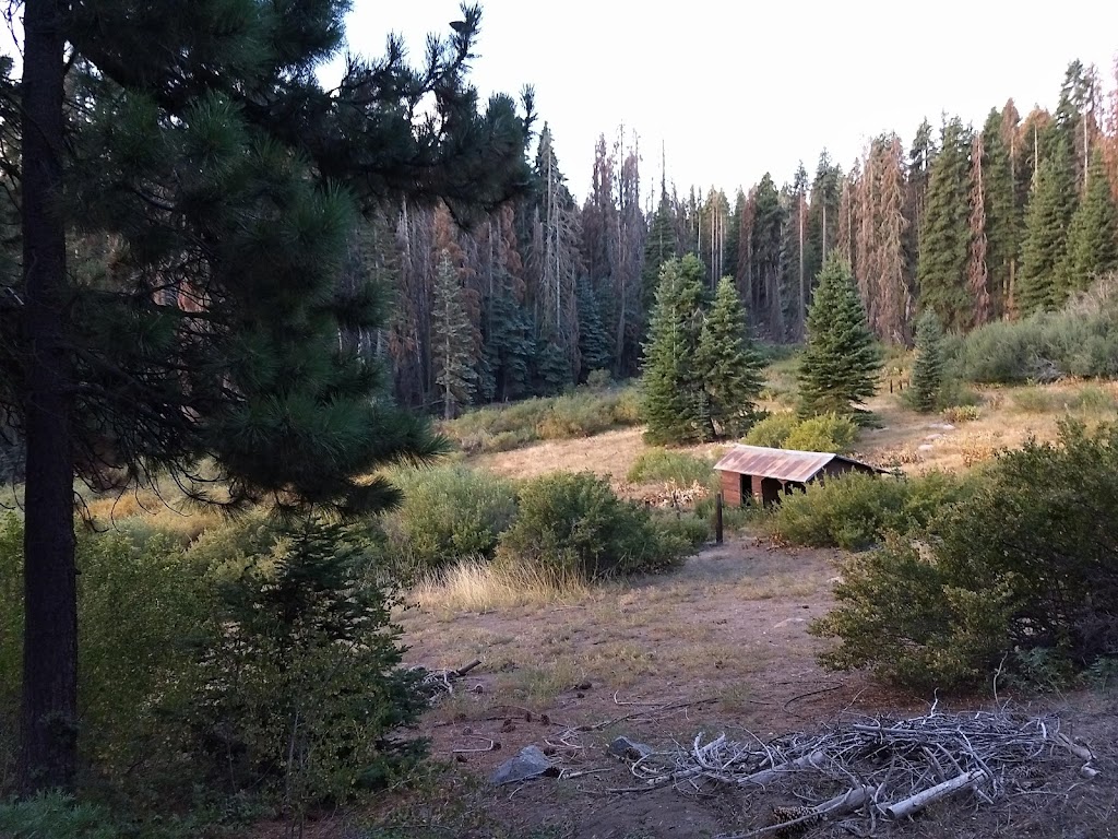 Frog Meadow Recreational Rental Cabin | California Hot Springs, CA 93207, USA | Phone: (559) 539-2607
