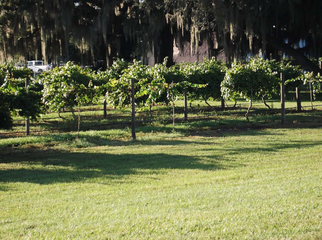 Blue Heron Vineyard | 331 Lewis Rd, Lithia, FL 33547, USA | Phone: (813) 633-8692