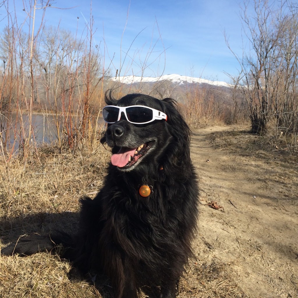 Eastgate Pet Clinic | 626 E Boise Ave, Boise, ID 83706, USA | Phone: (208) 336-3278