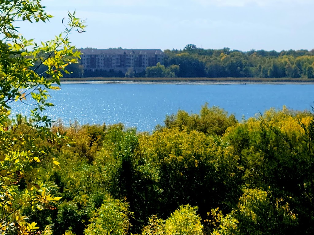 Carver Park Reserve Off-Leash Dog Park | 7200 Park Dr, Victoria, MN 55386, USA | Phone: (763) 694-7650