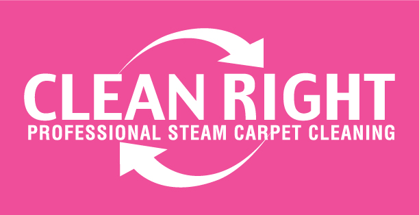 Clean Right Professional Carpet Cleaning | 1784 S Metro Pkwy, Washington Township, OH 45459, USA | Phone: (937) 490-1138