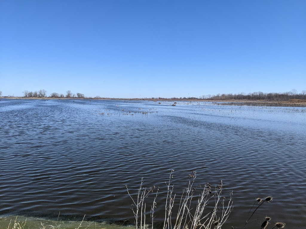 Mallard Club Marsh Wilderness Area | 8763 Cedar Point Rd, Curtice, OH 43412, USA | Phone: (800) 945-3543