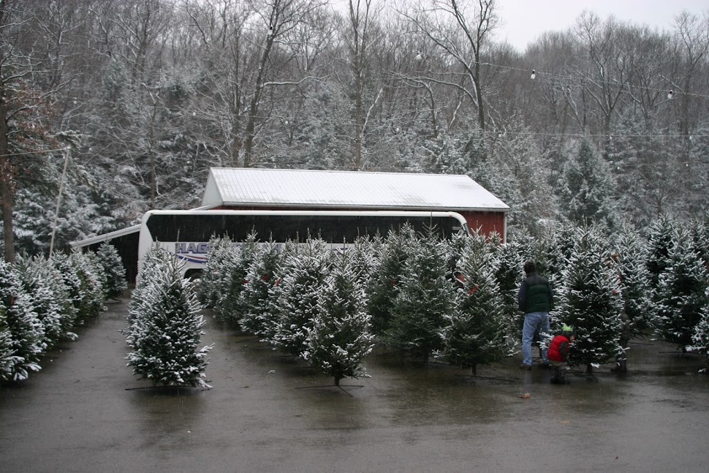 Mytrysak Family Tree Farm and Greenhouse | 1803 Fleming Rd, Indiana, PA 15701, USA | Phone: (724) 463-0570