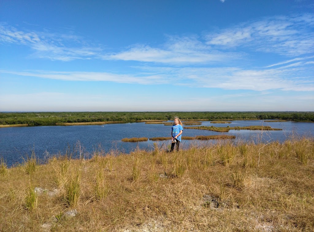 Tampa Bay Estuarine Ecosystem Rock Ponds Area | 100 8th Ave SE, St. Petersburg, FL 33701, USA | Phone: (727) 893-2765