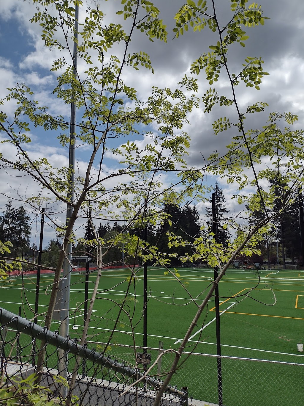 Evergreen Playfield Complex | 22205 56th Ave W, Mountlake Terrace, WA 98043, USA | Phone: (425) 640-3101