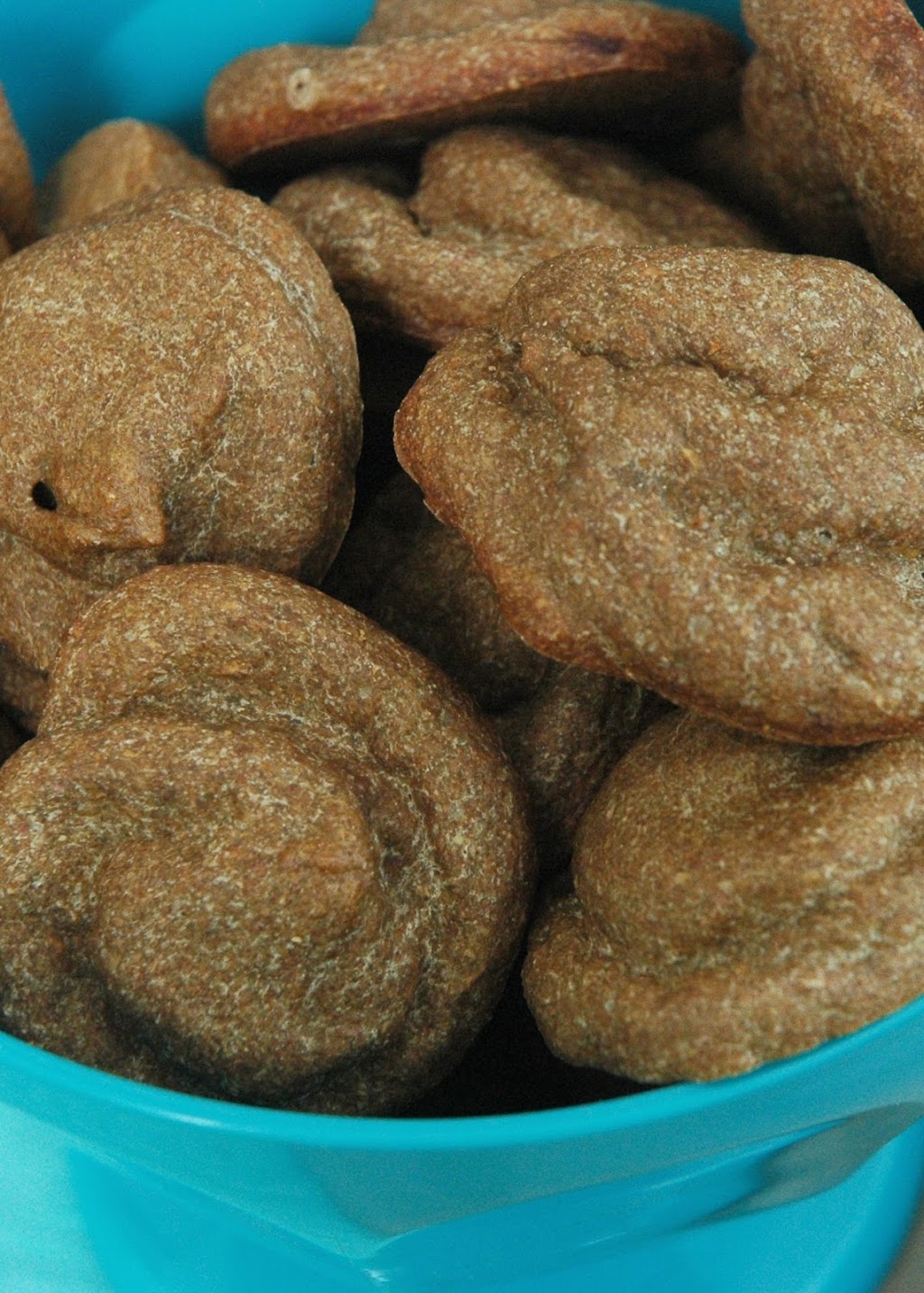 Homemade Hounds Bed & Biscuit | 34 Zibra St, Middleburg, FL 32068, USA | Phone: (904) 203-7314