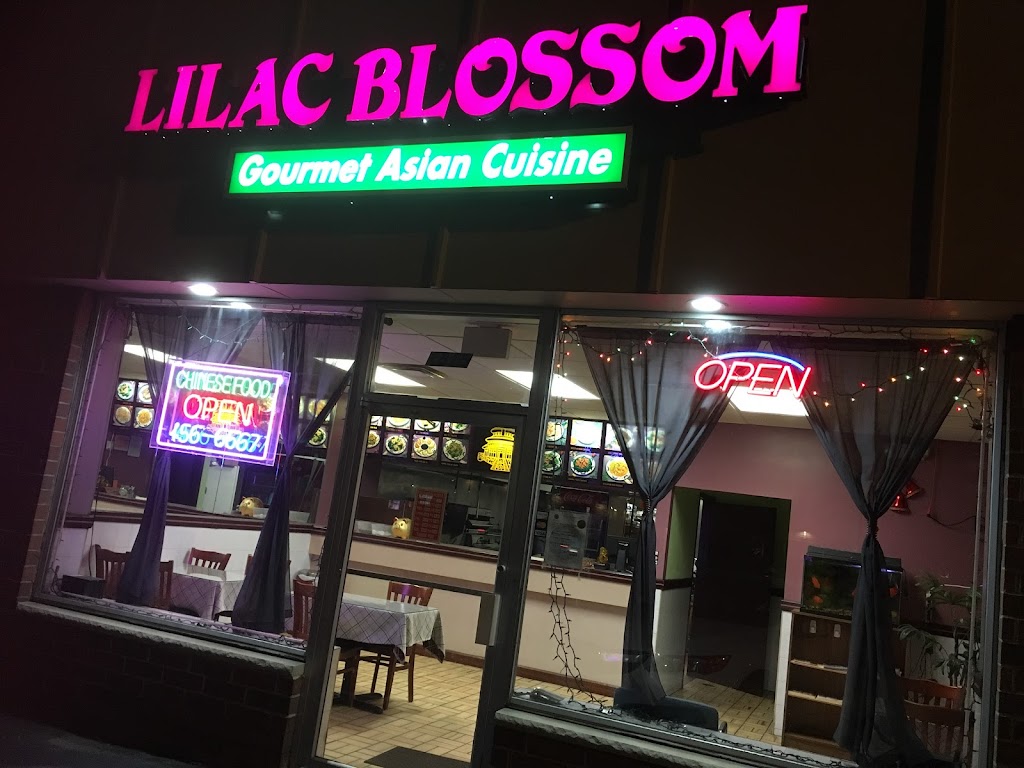 Lilac Blossom | 1815 Western Ave, Albany, NY 12203, USA | Phone: (518) 456-6667