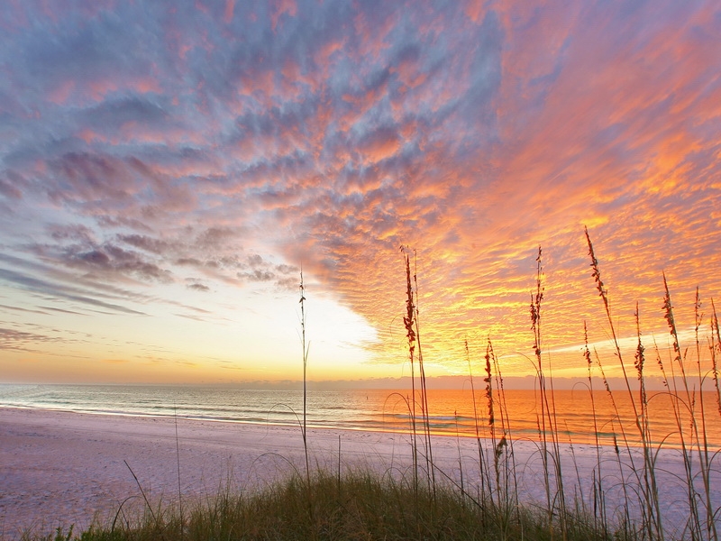 Siesta Key Visitor Center | 5114 Ocean Blvd, Siesta Key, FL 34242 | Phone: (941) 349-3800