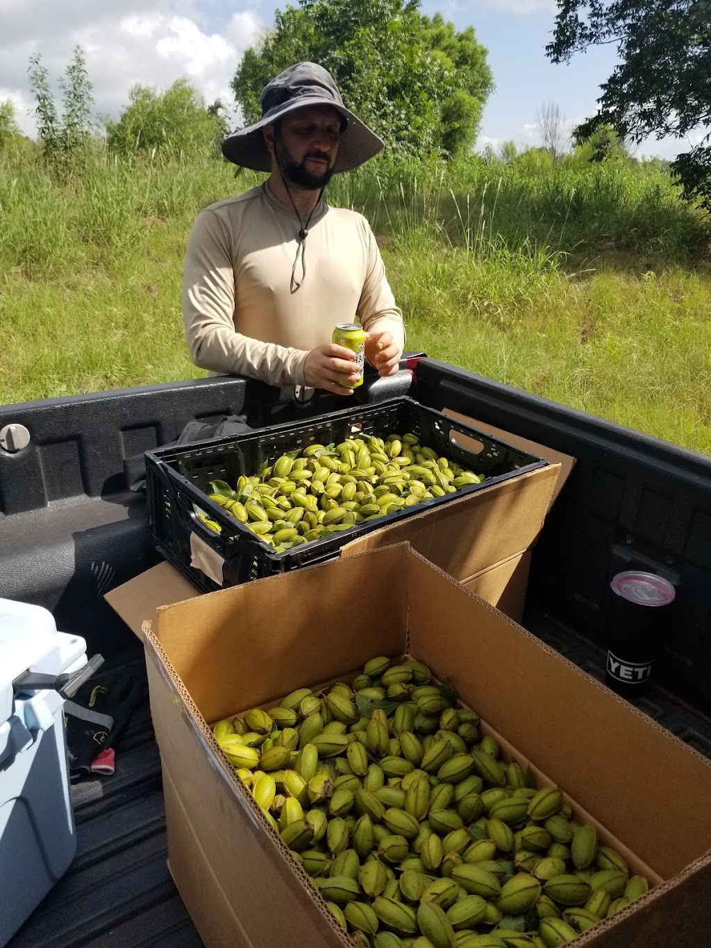 Yegua Creek Farms Pecan Orchard | 4600 Co Rd 467, Elgin, TX 78621, USA | Phone: (512) 856-0192