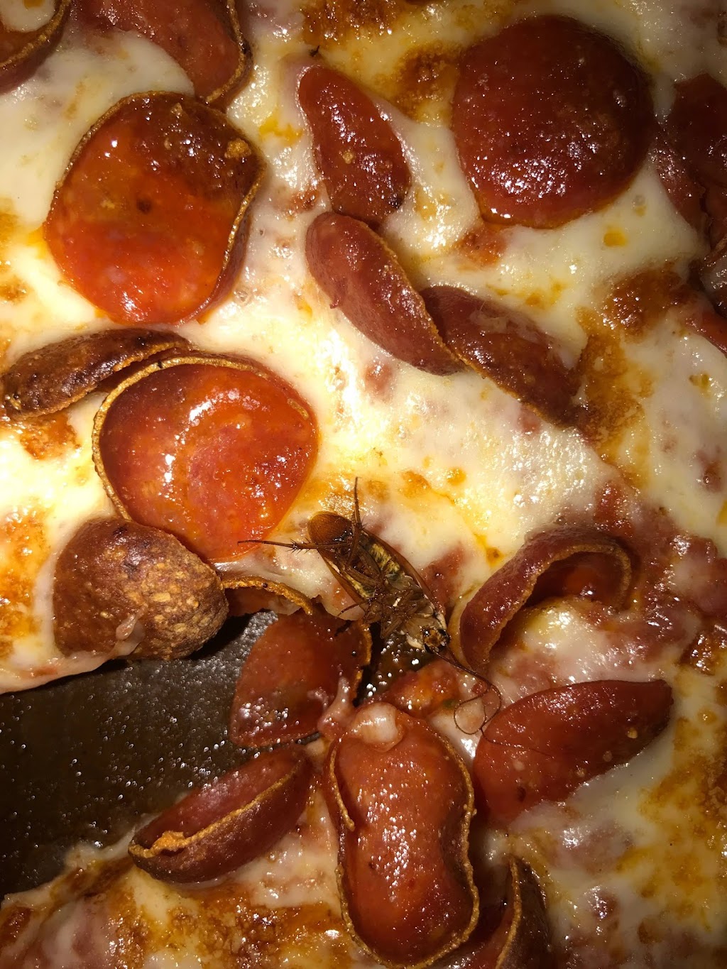 Little Caesars Pizza | 2200 S Mountain Ave, Ontario, CA 91762, USA | Phone: (909) 988-4181