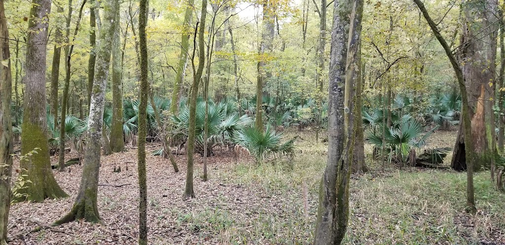 Sherburne Wildlife Management Area | Krotz Springs, LA 70750 | Phone: (225) 765-2800