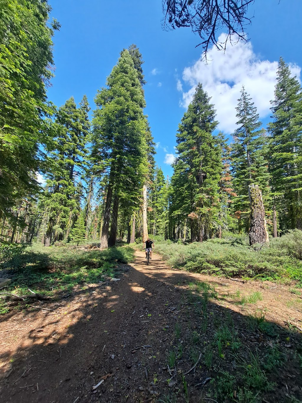 West Shore Sports | 1785 W Lake Blvd, Tahoe City, CA 96145, USA | Phone: (530) 583-9920
