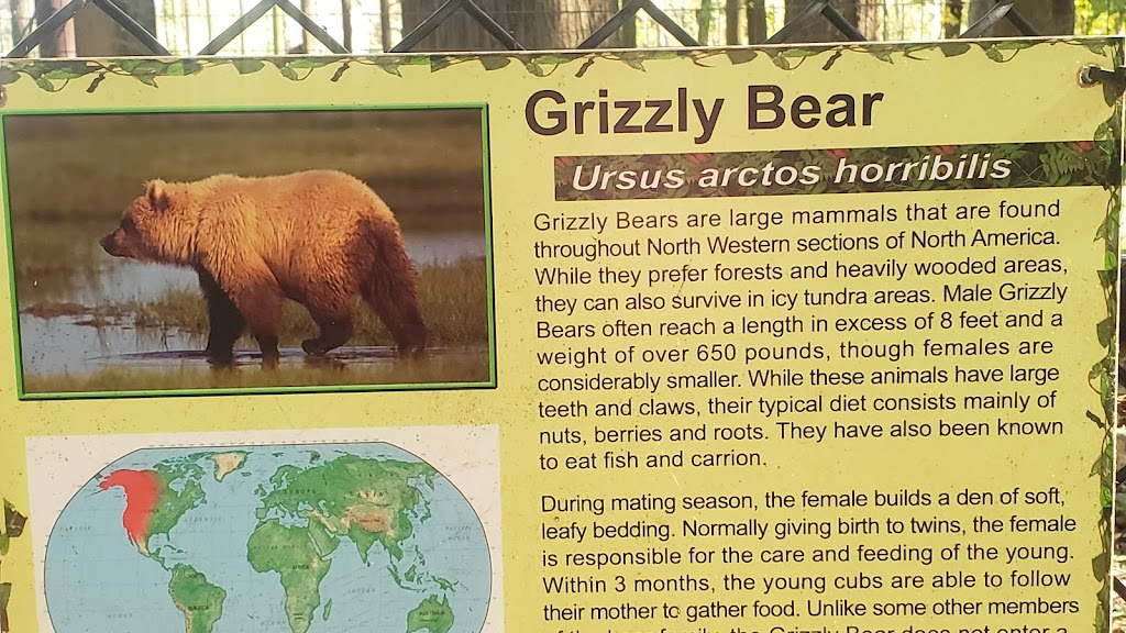 Noahs Ark Animal Sanctuary | 712 L G Griffin Rd, Locust Grove, GA 30248, USA | Phone: (770) 957-0888