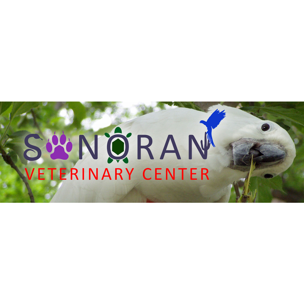 Sonoran Veterinary Center | 7637 E Speedway Blvd, Tucson, AZ 85710, USA | Phone: (520) 886-8888