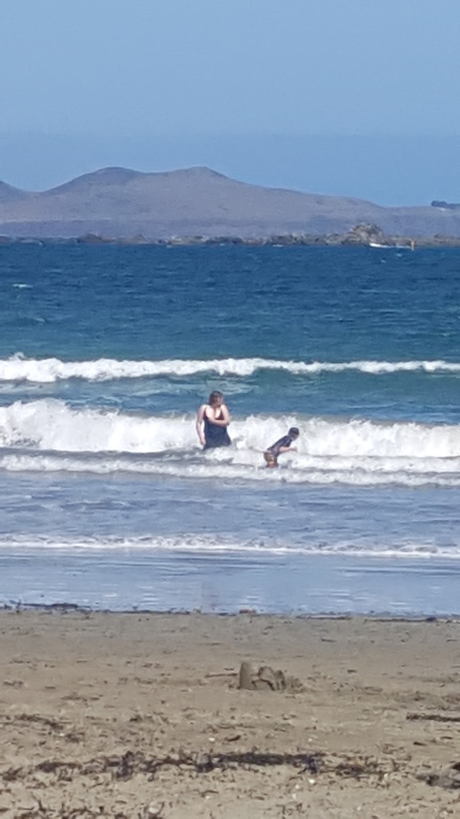 Lyall Bay Surf Life Saving Club | 101 Lyall Parade, Lyall Bay, Wellington 6022, New Zealand | Phone: 04 387 2024