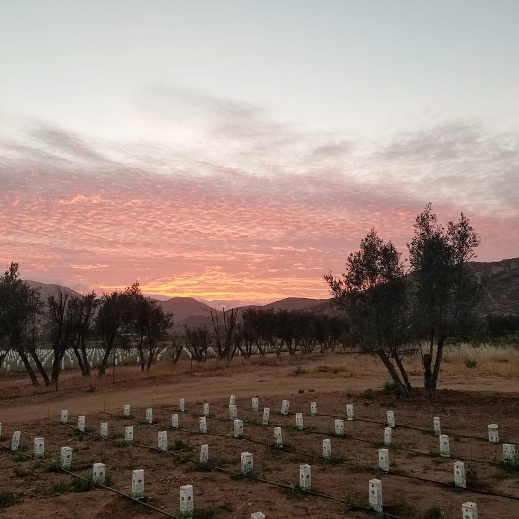 ETNIA VALLE | Valle de Guadalupe Lote 321 1 P 1 4 S N, 22755 Ejido El Porvenir (Guadalupe), B.C., Mexico | Phone: 686 140 0314