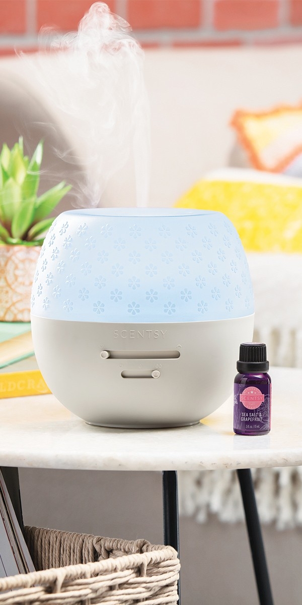 Lissa Zengotita Scentsy Independent Consultant | 441 Sand Verbena St, Horizon City, TX 79928, USA | Phone: (915) 240-4889