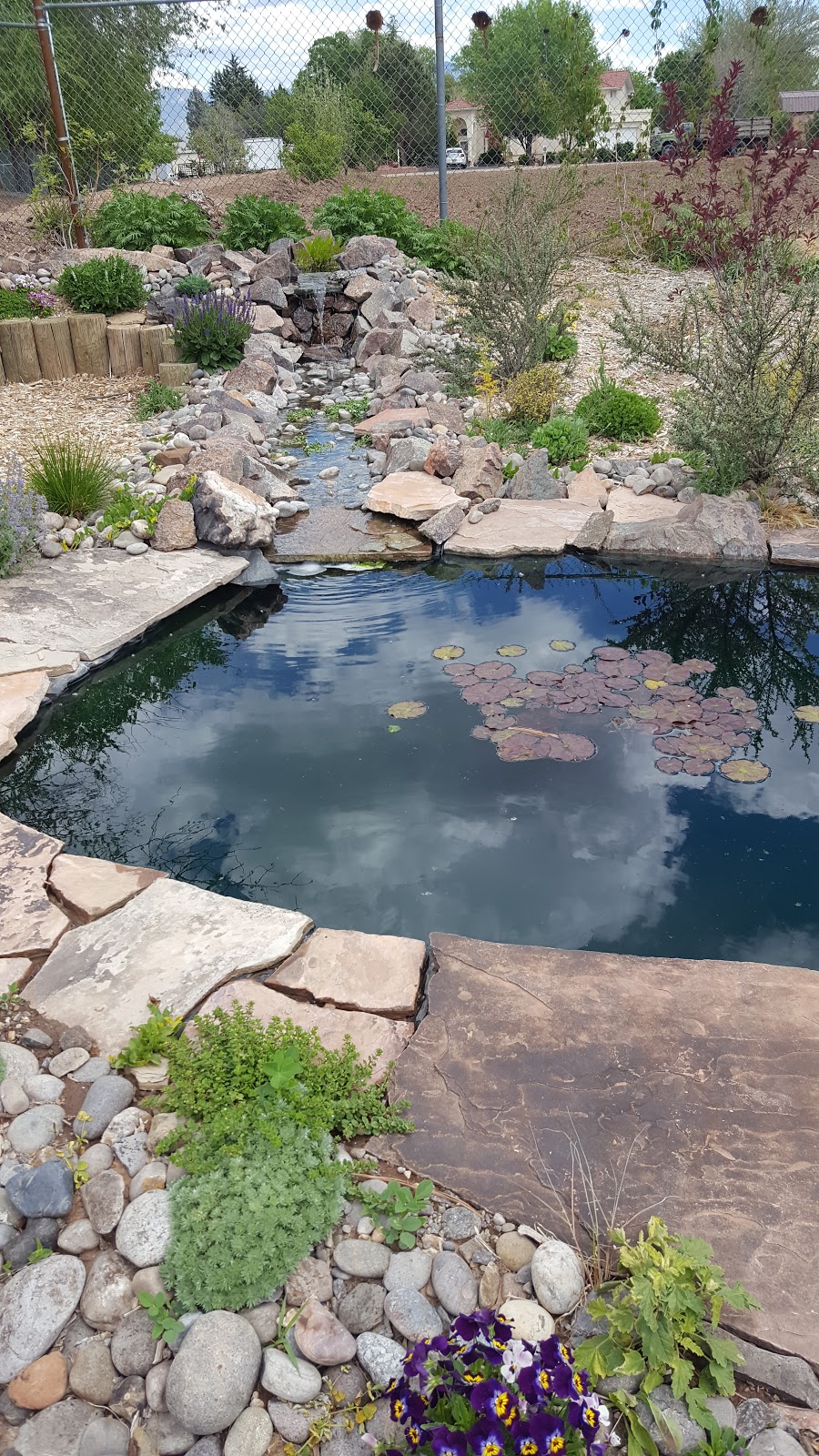Albuquerque Water Gardens & Nursery | 1800 Candelaria Rd NW, Albuquerque, NM 87107, USA | Phone: (505) 246-8278