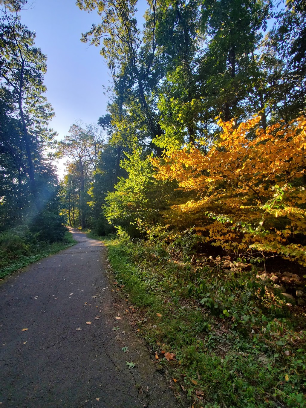 Eugene Levy Memorial Park | 920 NY-45, New City, NY 10956, USA | Phone: (845) 354-3901