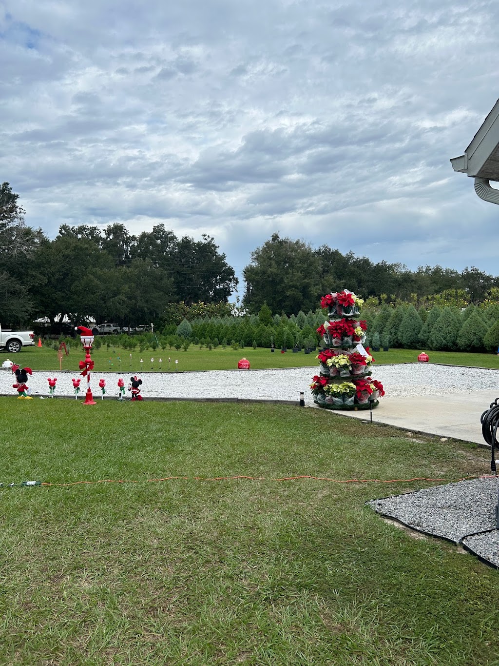 Christmas at Stanley Park | 70 Vaughn Rd, Winter Haven, FL 33880, USA | Phone: (253) 224-4645