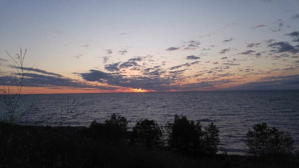 Concordia University Wisconsin Bookstore | 12800 N Lake Shore Dr, Mequon, WI 53097, USA | Phone: (262) 243-4349