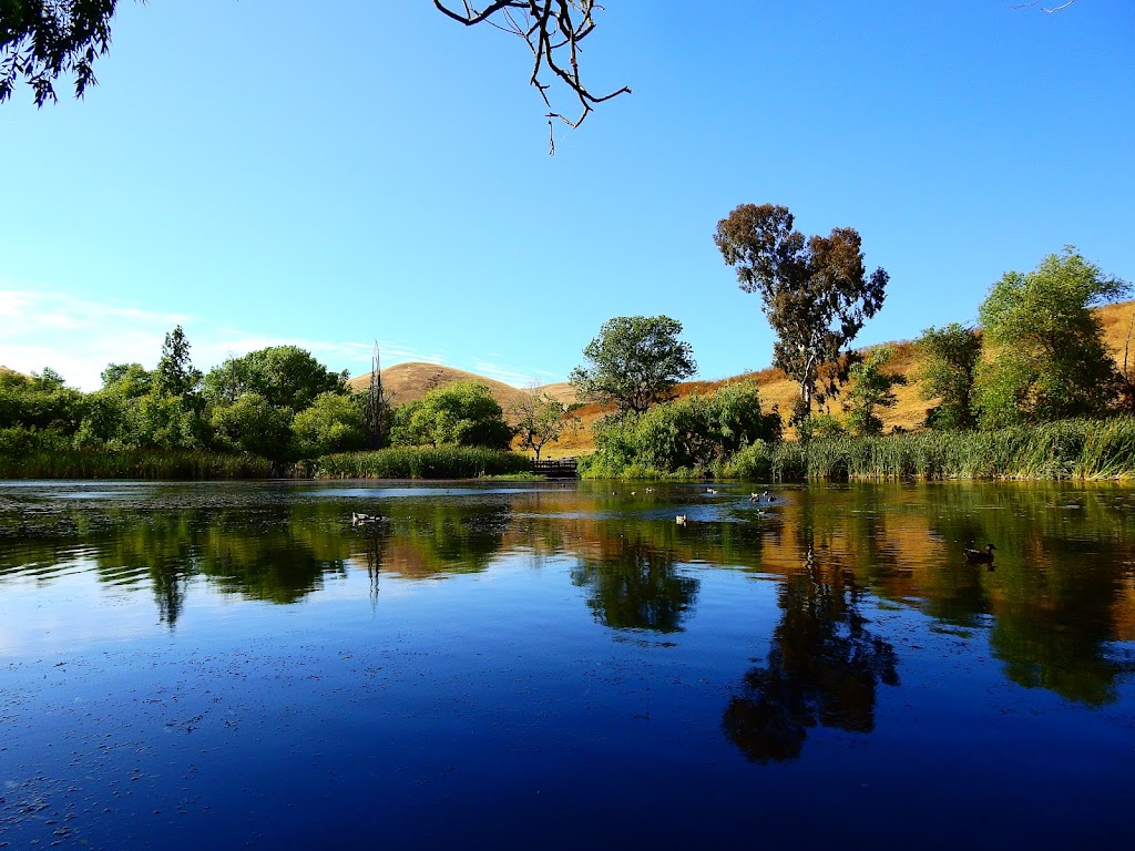 Jordan Pond | Jordan Pond, Hayward, CA 94544, USA | Phone: (510) 582-2206