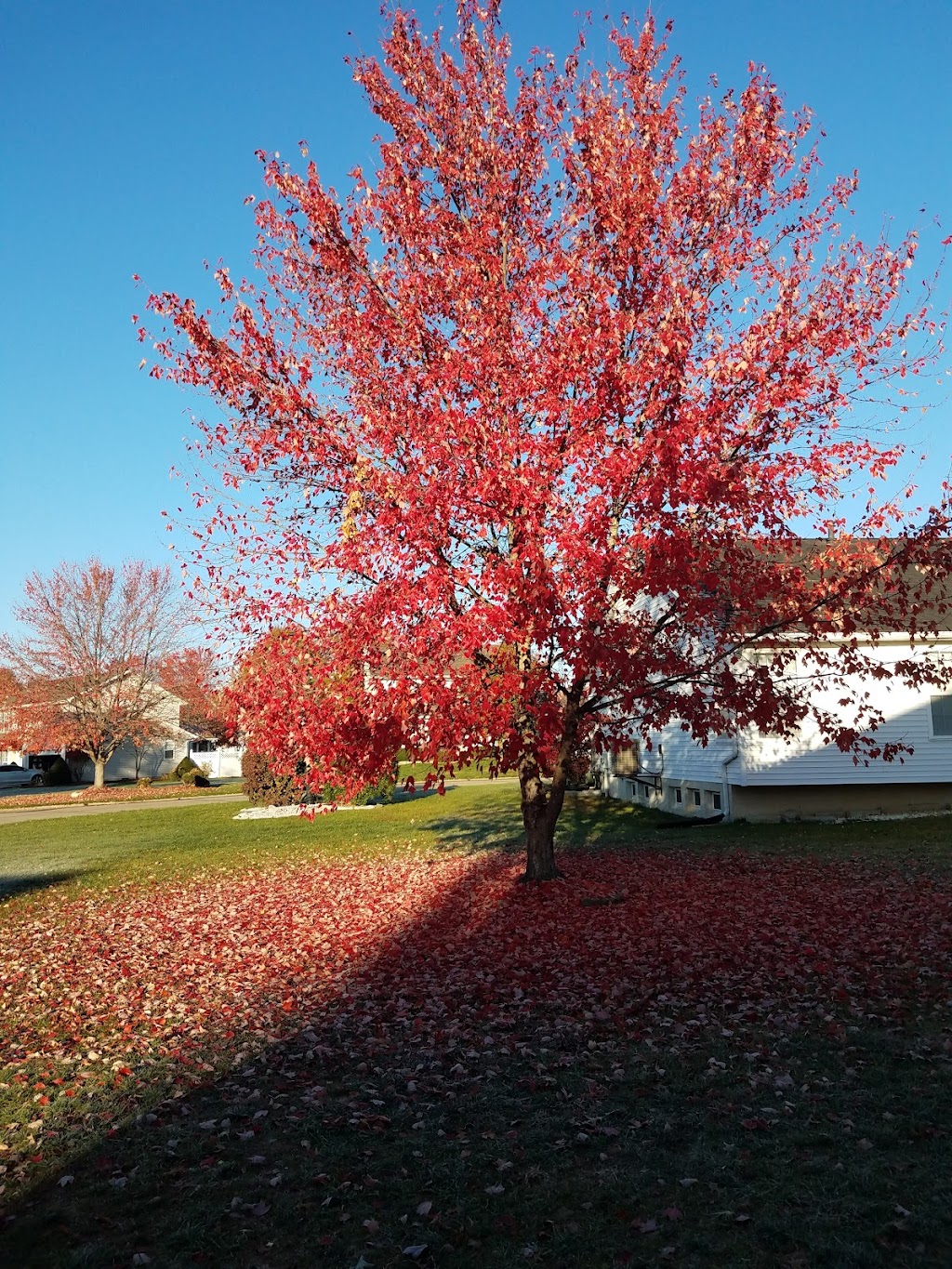 Autumn Home Care | 87 Sternwheel Ct, St Charles, MO 63304, USA | Phone: (636) 448-9347