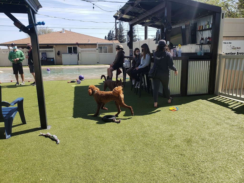 The Local Bark Park | 4024 Power Inn Rd, Sacramento, CA 95826, USA | Phone: (916) 456-4720