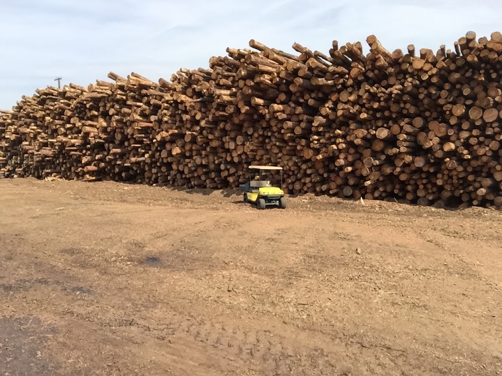 Southwest Forest Products Inc | 2828 S 35th Ave, Phoenix, AZ 85009, USA | Phone: (602) 278-1009