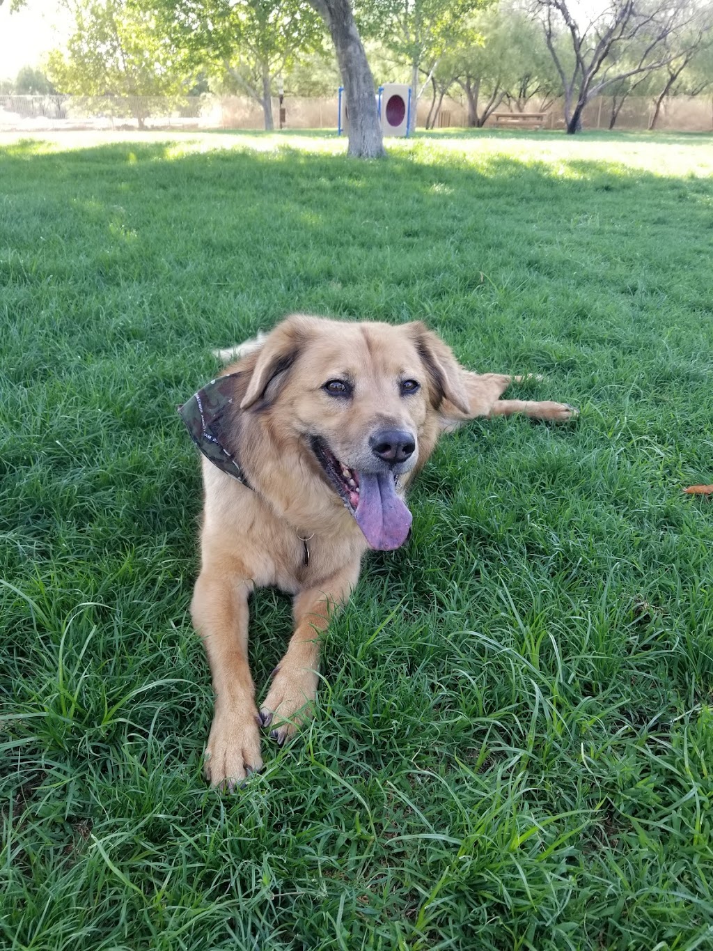 Bark Park | 15475 S Rancho Sahuarita Blvd, Sahuarita, AZ 85629, USA | Phone: (520) 207-7730