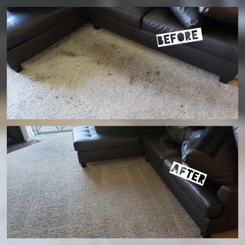 Citywide Carpet Care and Maintenance | 7665 Hollywood Blvd #10, Los Angeles, CA 90046, USA | Phone: (323) 828-8123