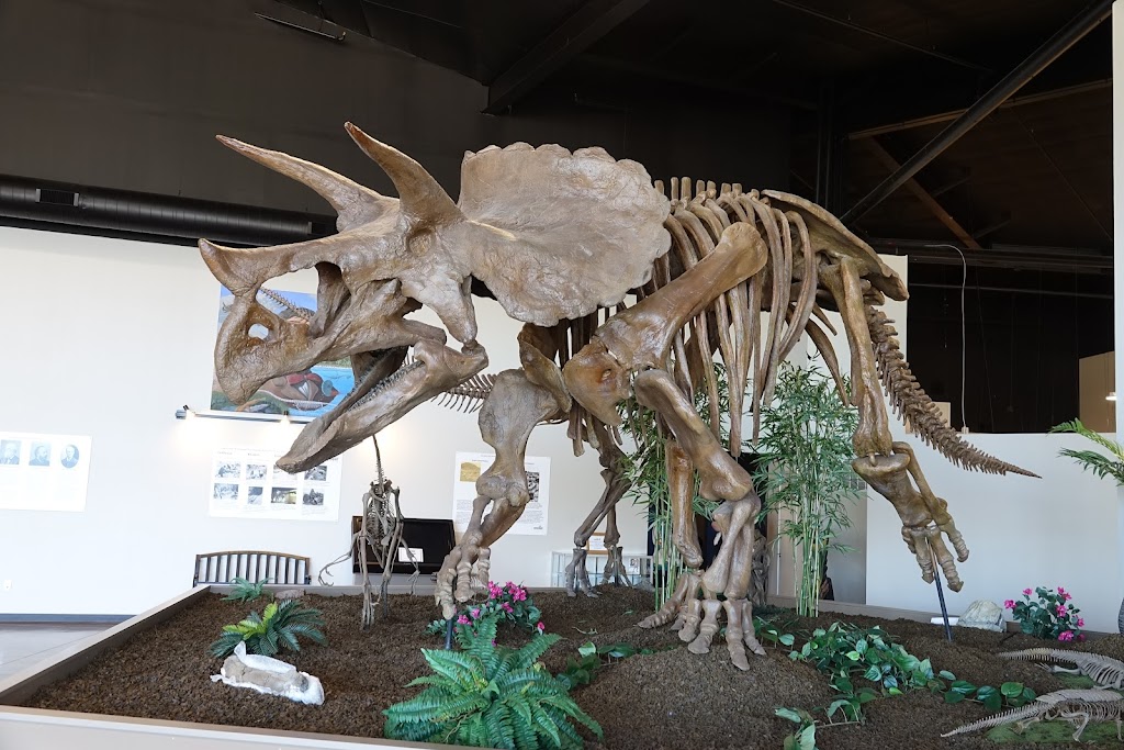 Royal Gorge Dinosaur Experience | 44895 W U.S. 50, Cañon City, CO 81212, USA | Phone: (719) 275-2726