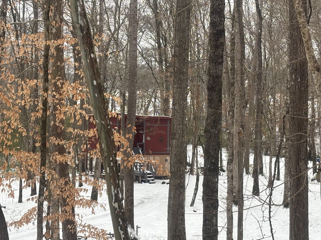 Bear Claw Treehouse | 6621 AL-23, Springville, AL 35146, USA | Phone: (205) 960-8215