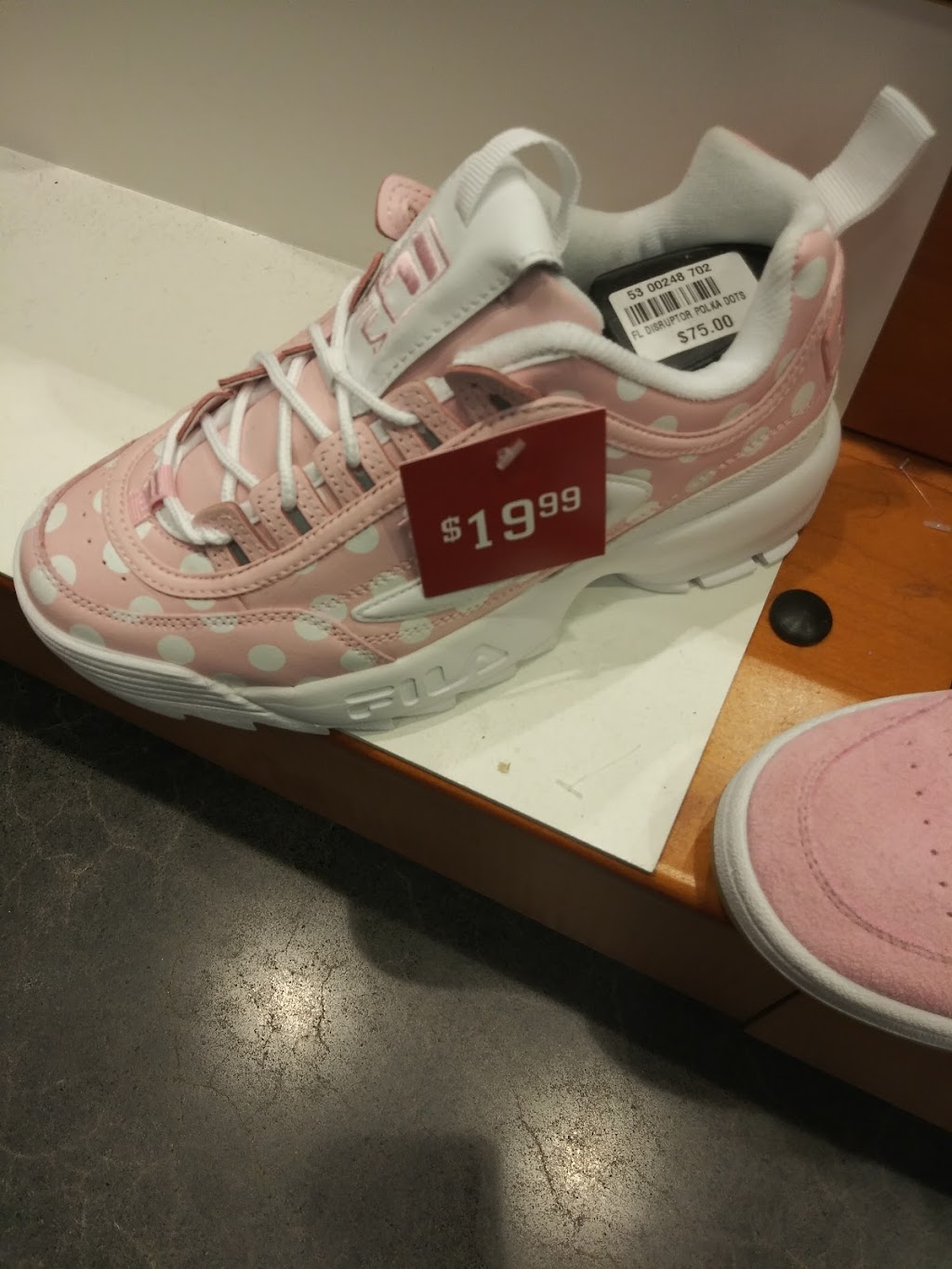 Champs Sports | 120 Washington Ave Ext, Albany, NY 12203, USA | Phone: (518) 464-1053