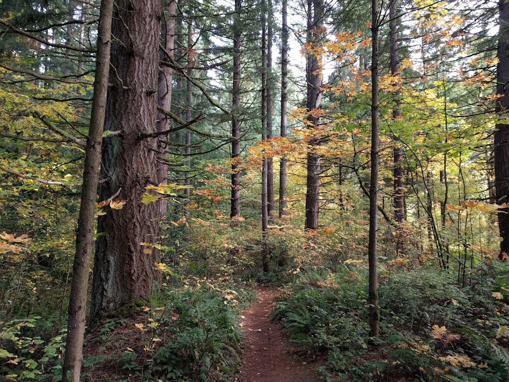 Groth Nature Preserve | 14020 NE 97th Ave, Vancouver, WA 98662, USA | Phone: (360) 885-5250