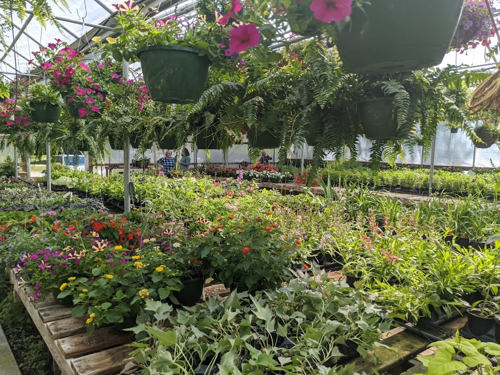 Goodwin Greenhouse | 300 Hoffman Ln, La Grange, KY 40031, USA | Phone: (502) 222-4769