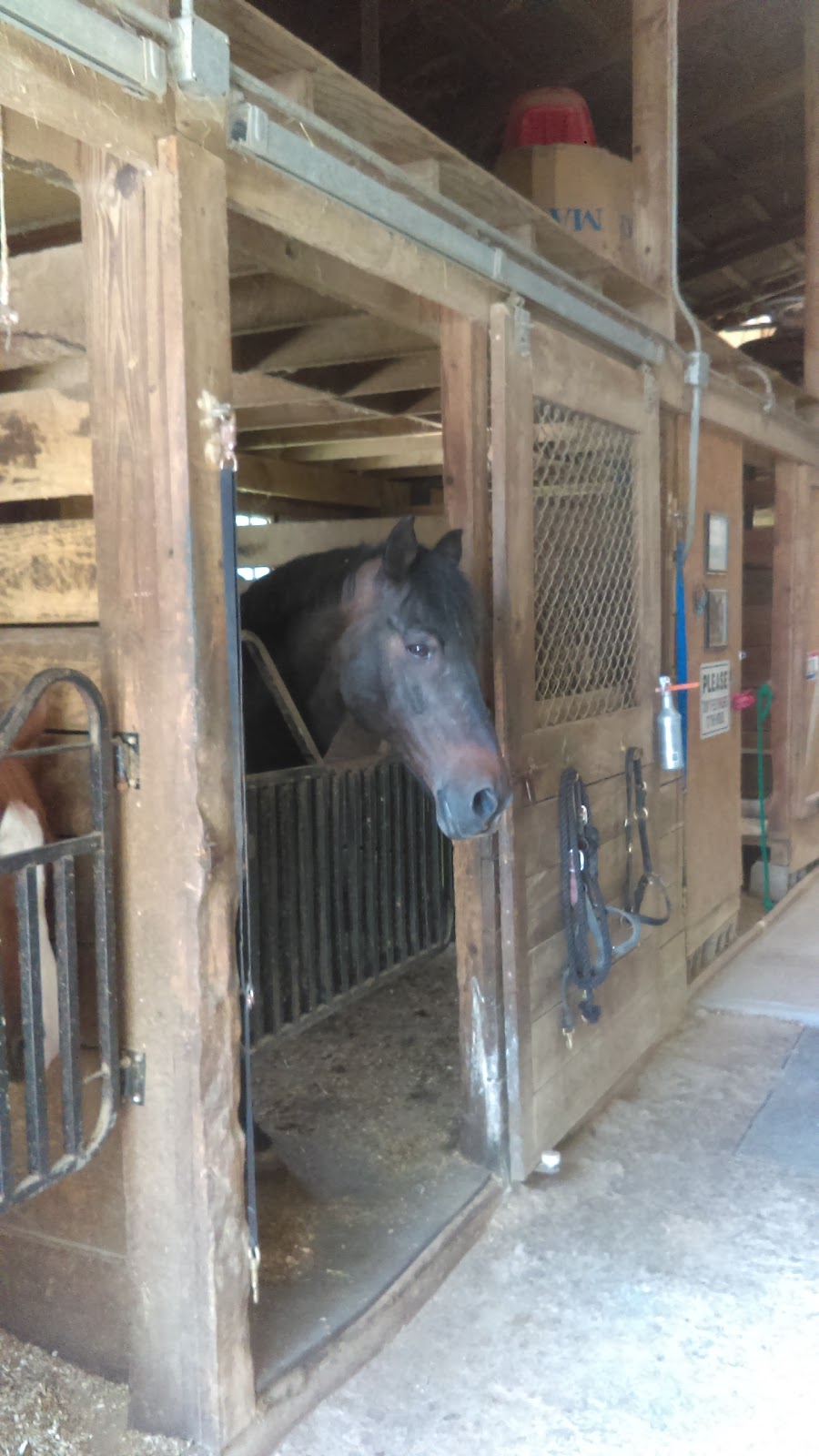 Club Met, Horse Stables | 6985 Lewis Rd, Olmsted Falls, OH 44138, USA | Phone: (216) 403-8723