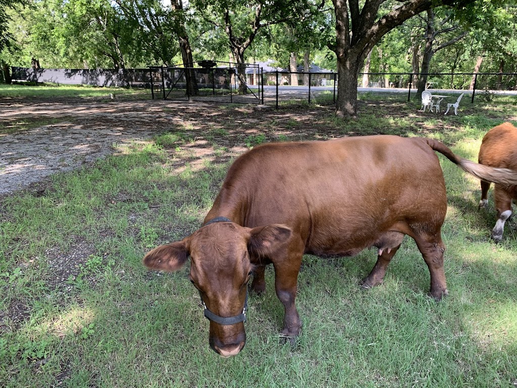 DCT Farms | 905 S Cockrell Hill Rd, Ovilla, TX 75154, USA | Phone: (972) 765-4269