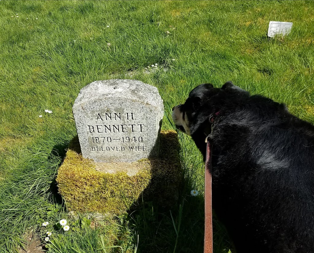 Swansonville Cemetery | Port Ludlow, WA 98365, USA | Phone: (360) 437-7990